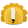 Image de Veilleuse Silicone Mr. Lion