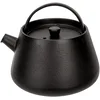 Image de Cosy & Trendy 4547078 Théière en fonte "Billy" 38 CL-Noir