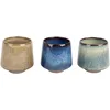 Image de Cosy & Trendy Dela Autumn Lot de 3 Tasses en Céramique- 24Cl
