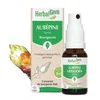 Image de HerbalGem - Macérât-Mère - Spray aubépine Bio - Complément Alimentaire Gemmothérapie Concentrée - Extrait de Bourgeon Frais - pour Circulation Sanguine - Format Nomade, Simple et Pratique - 15 ml