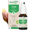 Image de HerbalGem Macérât-Mère Spray Cassis Bio 15 ml
