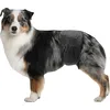 Image de Savic Male Dog Nappy Taille M Noir