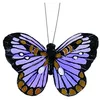 Image de Artemio Attache Parisienne Ronde (3mm) 6 pièces Papillons Multicolore