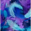 Image de 10 g Plumes Colorées Blue