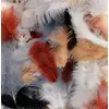 Image de 10 g Plumes Colorées Natural