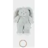 Image de Peluche musicale Rosie & Verdi Verdi