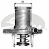 Image de GATES Thermostat TH15289G1