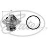 Image de GATES Thermostat TH39374G1
