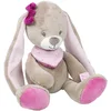 Image de Nattou Doudou Lapin Nina, Nina, Jade et Lili, 30 x 17 x 9 cm, Beige/Rose