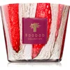 Image de Baobab Collection Woods Risoud bougie parfumée 500 g