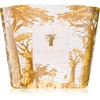 Image de Baobab Collection Sacred Trees Bounkani bougie parfumée 500 g
