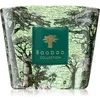 Image de Baobab Collection Sacred Trees Touba bougie parfumée 500 g