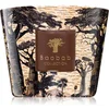 Image de Baobab Collection Sacred Trees Mankono bougie parfumée 500 g