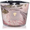 Image de Baobab Collection Leaves Manon bougie parfumée 500 g