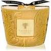 Image de Baobab Collection Paz Dove bougie parfumée 500 g