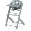 Image de CHILDHOME, Chaise Haute Bebe Evolutive : De 0 mois à 85KG, Tablette Incluse, Bois de Hêtre, Arceau, Sécuritaire Harnais 5 points, Vis Invisibles, Evosit, Menthe