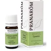 Image de Pranarôm Huile Essentielle Carotte, Daucus carota var. sativus Fruit, 5 ml