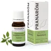Image de PRANARÔM - Ravintsara - Huile Essentielle Chémotypée - Confort Respiratoire & Défenses Naturelles - 100% Pure Et Naturelle - HECT - 10 ml