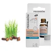 Image de Pranarôm Ongles Abimés, Fragilisés/Abimés, Lotion aux Huiles Essentielles Biologiques, 10 ml (l'emballage peut varier) (Lot de 2)