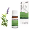 Image de PRANARÔM - Aromaforce - Solution Défenses Naturelles - Synergie Huiles Essentielles 100% Bio - Maintient L'Immunité - 5ml (Lot de 2)