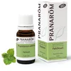 Image de Pranarôm Huile Essentielle Patchouli Bio HECT 10 ml