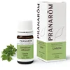 Image de Pranarôm | Huile Essentielle Livèche | Levisticum officinale | Racine | 5 ml