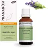 Image de Pranarôm Lavandin Super | Huile Essentielle Bio| Lavandula intermedia clone super Sommité fleurie 30 ml