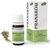Image de Pranarôm | Huile Essentielle de Cyprès de Provence Bio | Cupressus sempervirens | Rameau | 5 ml