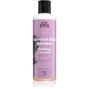 Image de Urtekram Soothing Lavender shampoing apaisant pour des cheveux brillants et doux 250 ml