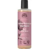 Image de Urtekram Dare to Dream, Shampooing Délicat à la Rose Sauvage, Biologique