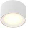 Image de Nordlux FALLON Surface spot avec LED intégrée métal blanc, blanc chaud 2700k IP20