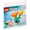 Image de LEGO LEGO Friends Polybag-Freundschaftsblumen PolybagFreundschaftsblumen Bausatz (30634)