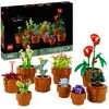 Image de LEGO Botanicals Les Plantes Miniatures - 9 Plantes artificielles Dont Cactus à Construire pour Adulte - Accessoires de décoration pour Maison - Idée de Cadeau d'anniversaire pour Femme ou Homme 10329