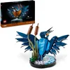 Image de LEGO Icons Le Martin-pêcheur, Kit de Maquette pour Adultes Amoureux des Oiseaux et de l'Ornithologie & 10311 Icons L’Orchidée Plantes avec Fleurs Artificielles d'Intérieur