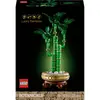 Image de 10344 LEGO® ICONS  Bambou de chance