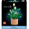 Image de Botanicals 11504 Les Fleurs de Lune - Set de Plante Artificielle pour Adulte - Déco