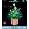 Image de LEGO® ICONS  11504 LEGO - 11504 Botanicals Friedenslilie Botanicals 11504 Friedenslilie
