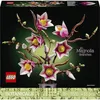 Image de Botanicals 11510 Branches de Magnolia - Set pour Adulte - Fleurs Artificielles - Déco