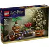 Image de 76474 LEGO® HARRY POTTER  Château de Poudlard  Plantes dherboristerie; Set pour jouer et exposer