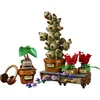 Image de LEGO Harry PotterTM 76474 Les plantes du cours de botanique de Poudlard