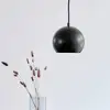 Image de Frandsen Ball Suspension, 100193,