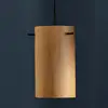Image de Frandsen FM 1954 Suspension E27, 136659,