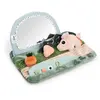 Image de Miroir d'éveil Tummy time Tiny farm Multicolore