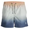 Image de JACK&JONES PLUS JPSTFIJI JJSWIM Dip Dye LY PLS, Nougat pêche, 46