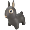 Image de Find That Hippo Lapin