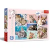 Image de Trefl - Puzzle - dans Le Monde des Chats 100 Pièces, pour Les Enfants à partir de 5 Ans