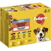 Image de Pedigree DOGCARE Sachet Humide (Mixte) Chunks in Jelly 100 g Multipack Standard 12 x 100 g