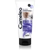 Image de Delia Cosmetics Cameleo Silver après-shampoing pour cheveux blonds et gris anti-jaunissement 200 ml