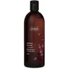 Image de Shampooing pour cheveux gras Ziaja Lavande (500 ml)