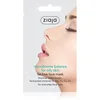 Image de Ziaja Microbiome Balance masque visage pour réguler le sébum 7 ml